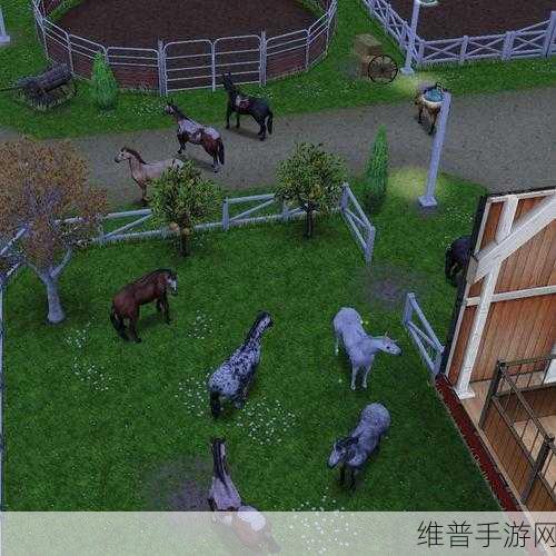 上帝的地下室畅玩配置全解析
