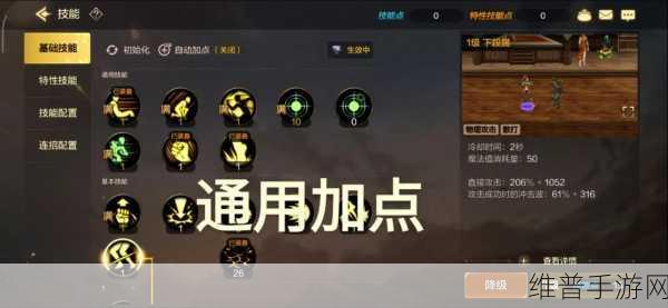 DNF 武神加点 2024，制霸战场的秘诀指南