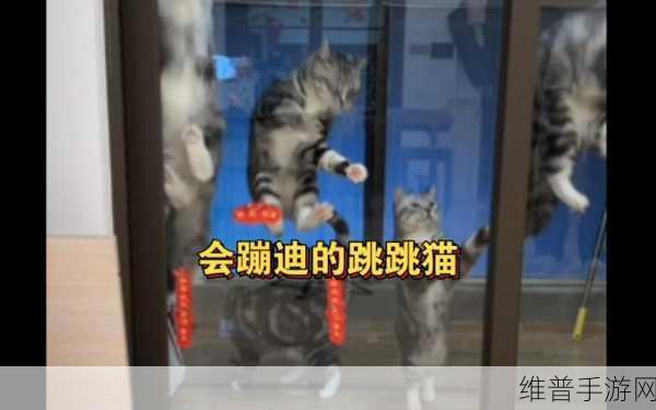 跳跳猫游戏全攻略,GO!GO!魔性日系跳跃闯关之旅