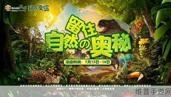 勇者养成记，探索无限冒险的奇幻之旅——官方下载安装全攻略