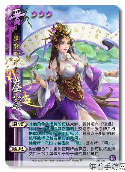 深入探索三国杀均衡版5单机版,策略与智慧的卡牌对决