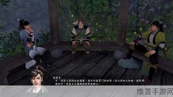 河洛群侠传，张君宝全方位培养攻略