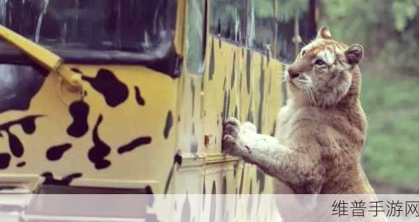 探秘模拟动物园,打造你的梦幻经营之旅——模拟动物园游戏下载全攻略