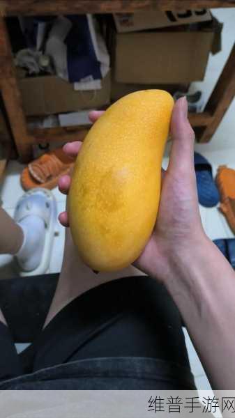 免费香蕉视频:香蕉视频 - 热门短视频聚合【专题】