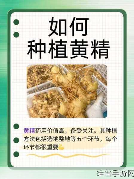 国精产品一二在线：国精大作 精彩上线【专题】