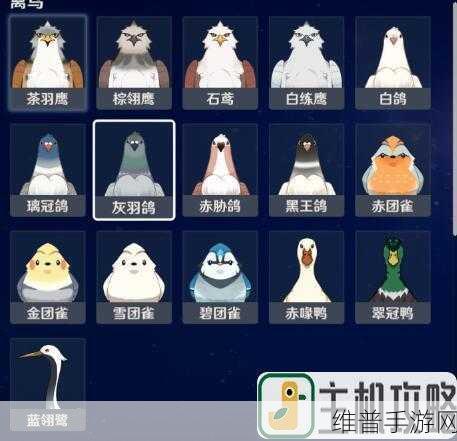 射雕手游，六角白梅收集全攻略