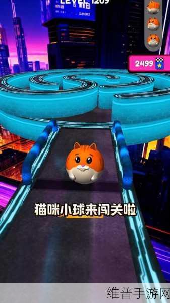 翻滚小猫安卓版下载，轻松Q萌，卡通跑酷闯关新体验