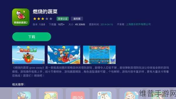 蔬菜大乱斗小游戏下载，解锁趣味休闲闯关新体验