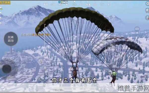 刺激战场国际服，解锁FPS吃鸡手游新境界的攻略指南