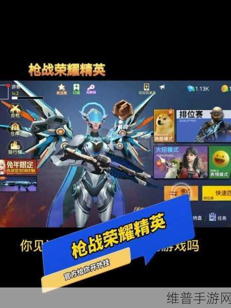 枪战荣耀精英免广告版下载，开启全新射击竞技游戏体验