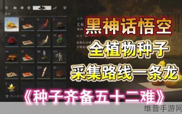 黑神话悟空中血杞子的获取秘籍大公开