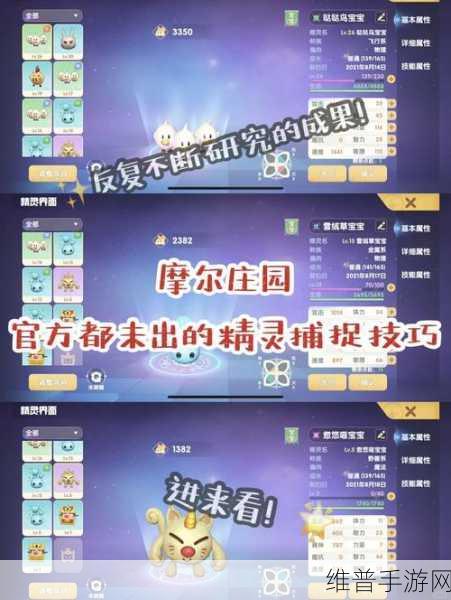 摩尔庄园手游拍照全攻略 带你玩转影像世界