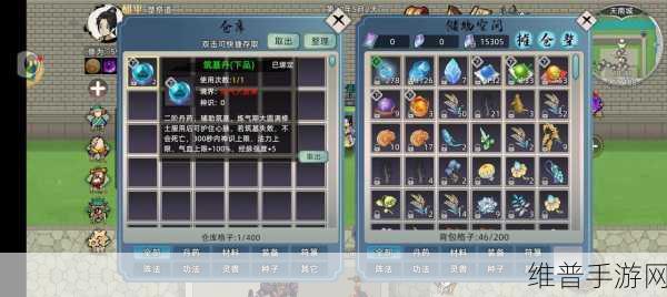 假修仙模拟器下载，探索全新的修仙模拟小游戏深度攻略