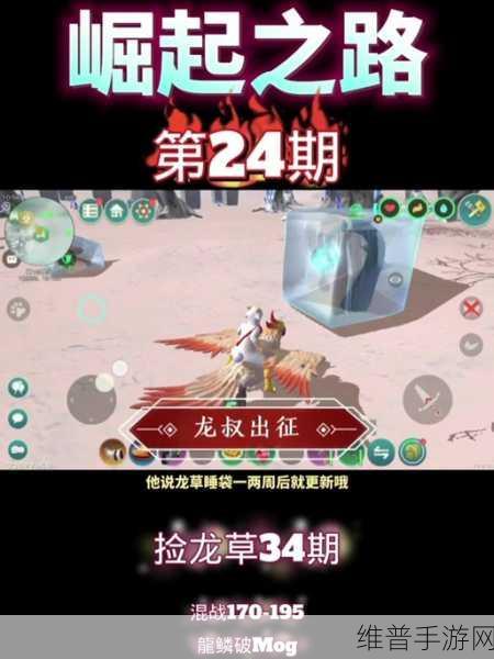 创造与魔法，飞睡袋放置秘籍大揭秘