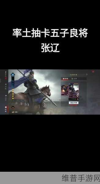 率土之滨中张辽马超肉刀阵容的深度解析