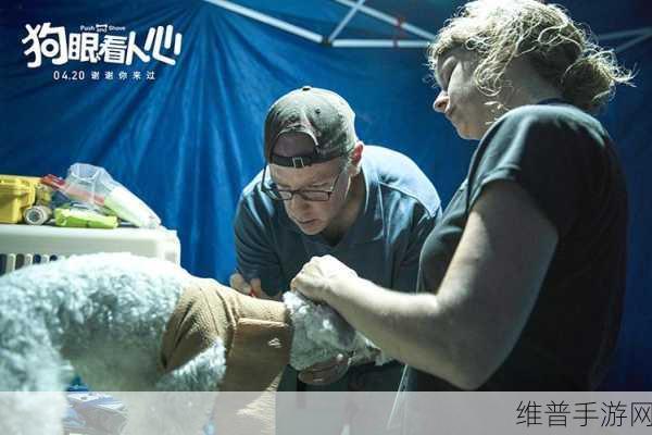 绝区零,安德鲁的请求委托 S 通关秘籍大揭秘