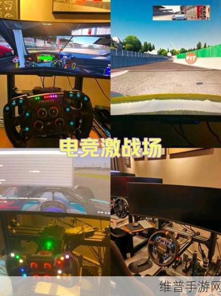 拉力竞速3，越野车模拟驾驶的极致体验攻略