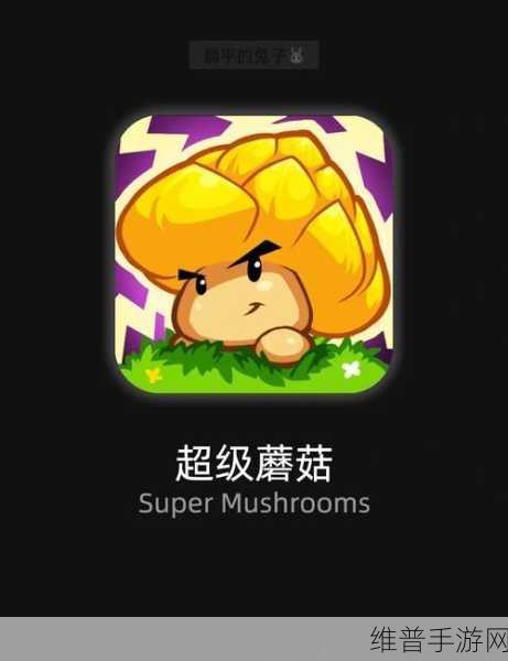 德米特里第六章，清新卡通解谜之旅全攻略