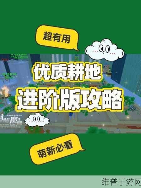 创造与魔法，耕地成熟时间全解析