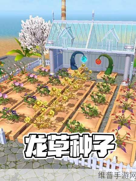 创造与魔法,耕地成熟时间全解析