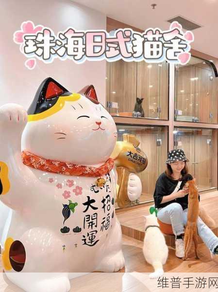快乐猫舍,融合休闲养成与二合一消除的奇妙之旅