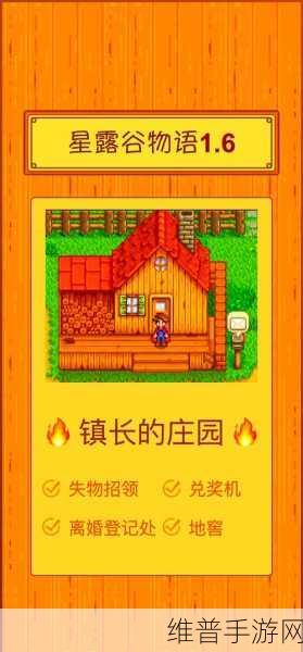 星露谷物语离婚后子女抚养问题全解析