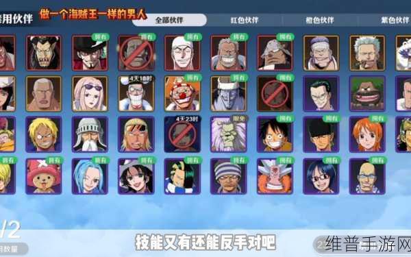 航海王壮志雄心，画质设置秘籍大公开