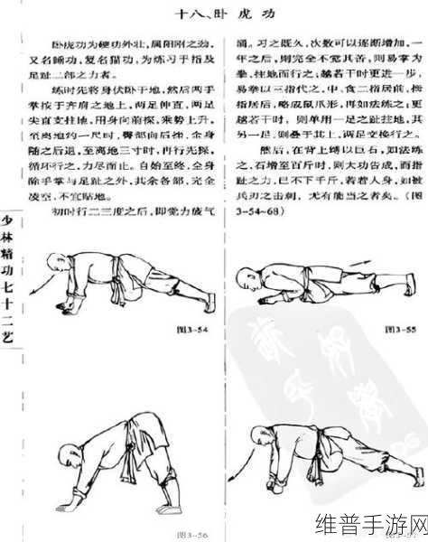 卧虎藏龙明教无敌技能的战斗场景全解析