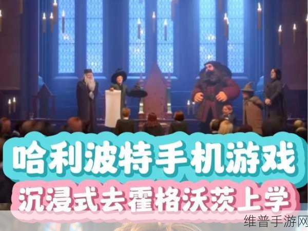 哈利波特霍格沃茨之谜，无限钻石金币畅玩攻略