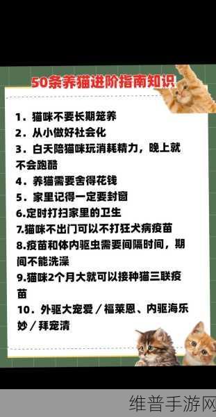 猫咪栽培2正版下载安装全攻略，享受休闲的猫咪养成乐趣
