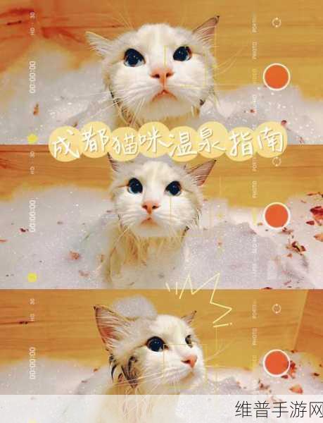 猫咪栽培2正版下载安装全攻略,享受休闲的猫咪养成乐趣
