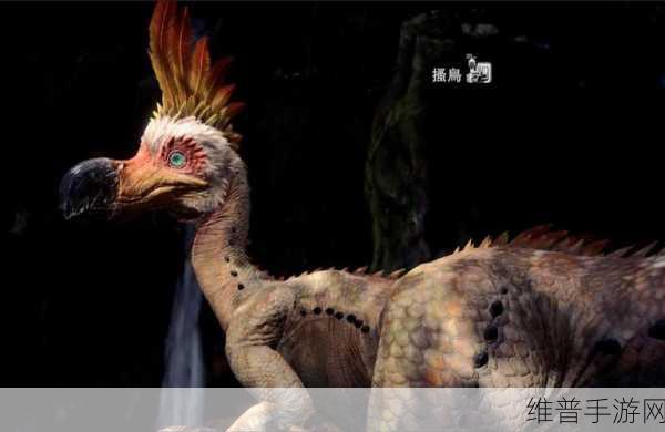 怪物猎人世界搔鸟弓 I 全解析