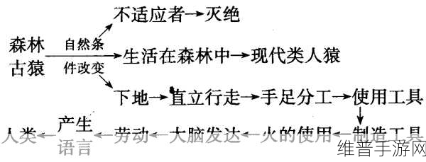 人类如何摧毁人类安卓版下载，探索几何世界的趣味挑战