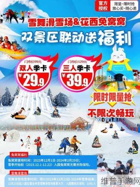 密雪冰场大亨，打造你的梦幻滑雪场之旅