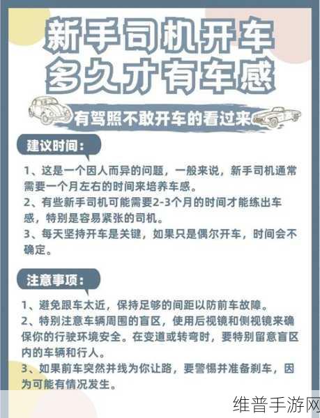 驾车远行中文版，卡通休闲驾驶之旅全攻略