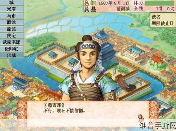 太阁立志传 2 全攻略秘籍大揭秘