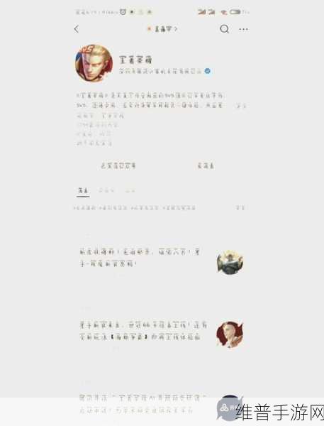 王者体验服白名单申请全攻略