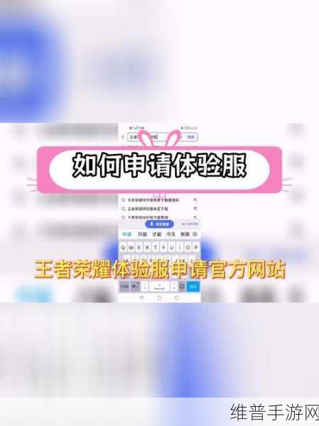 王者体验服白名单申请全攻略