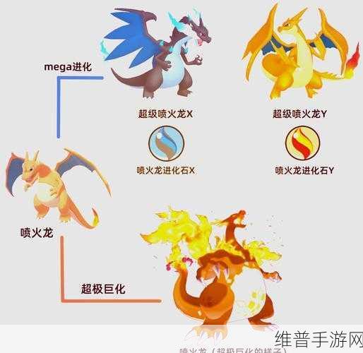 宝可梦大集结喷火龙玩法全攻略