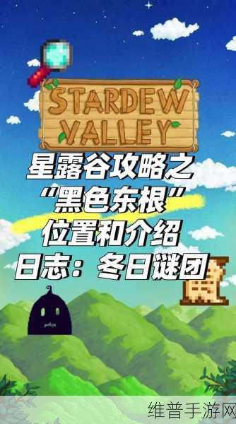 星露谷物语，探寻冬根的神秘产地