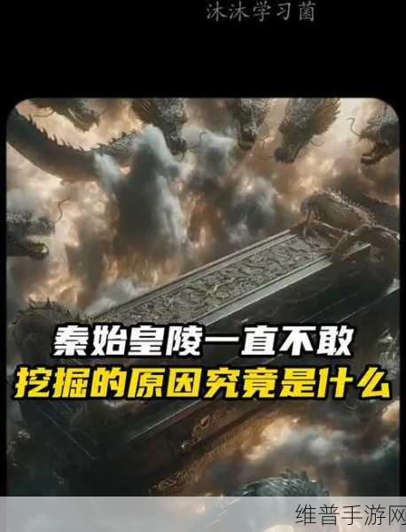 长生劫，探寻秦始皇雕刻石块之谜