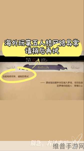 探究第五人格电脑端无法登录之因及应对策略