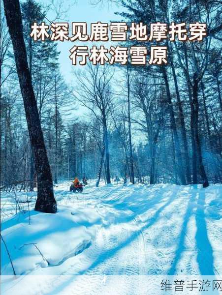 冰原守卫者，探寻拉雪橇麋鹿的神秘踪迹