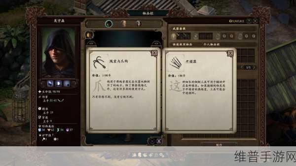 永恒之柱 2 峡谷探险秘籍,收集要素一网打尽