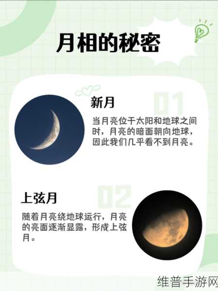 深度解析新月同行定向相遇的奥秘