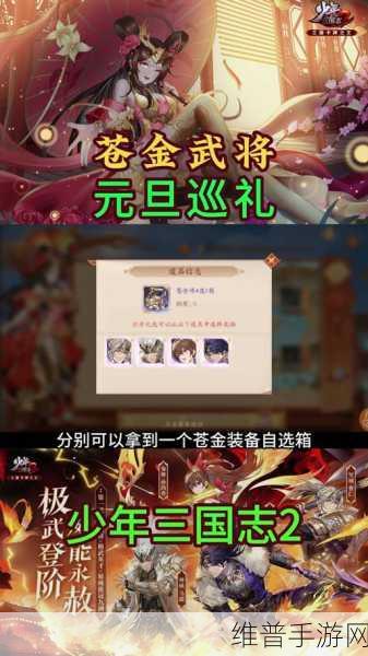 少年三国志武将卸下攻略全解析