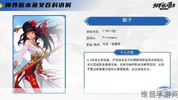 深度解析 DNF 巫女 探索神秘的职业力量