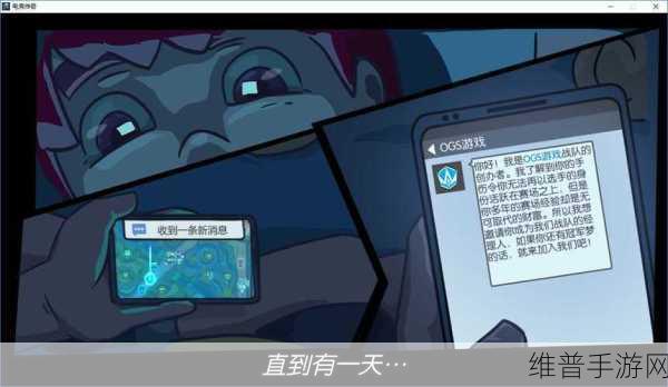电竞传奇，深入解析不同赛季差异，S 赛季全揭秘