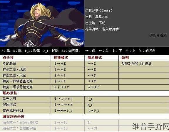 拳皇街机，掌控出招秘籍 称霸格斗战场