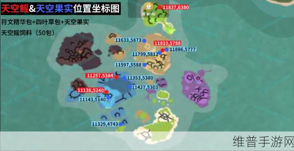 创造与魔法坐骑笼子的深度解析与巧用指南